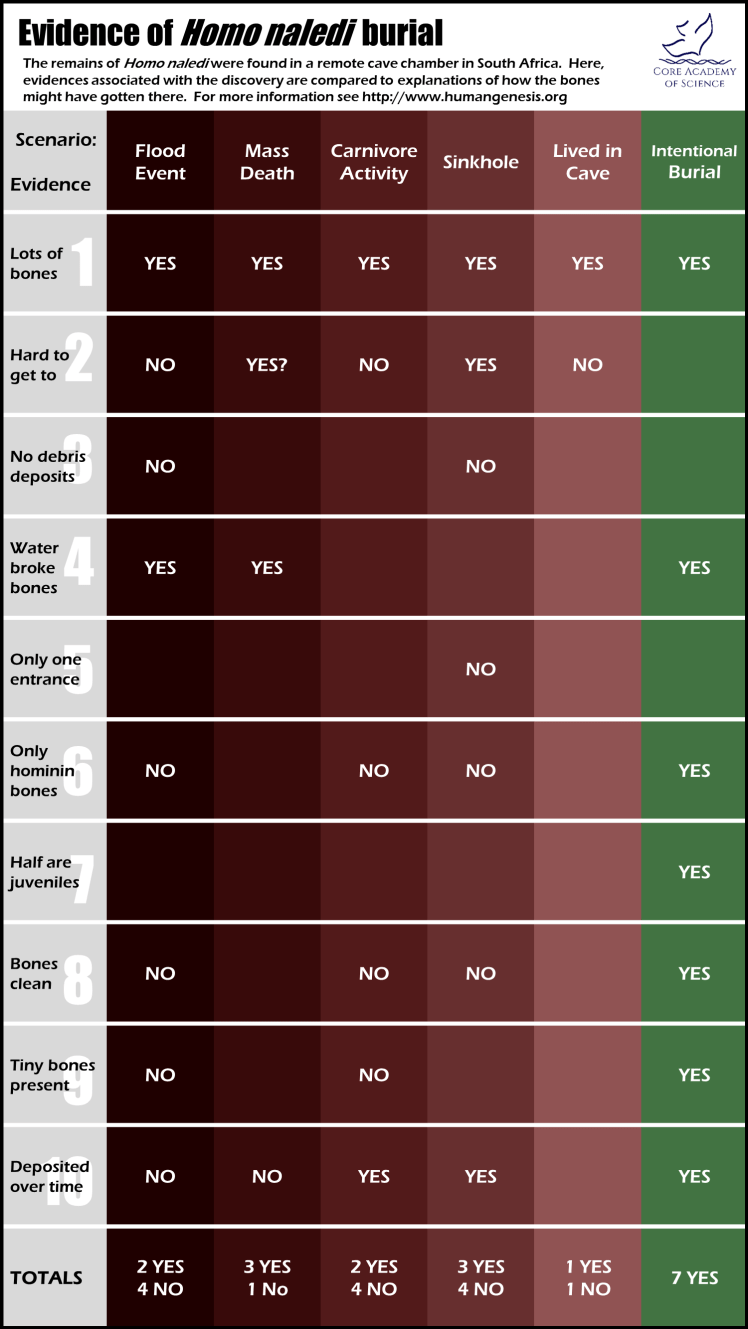 NalediBurialChart2016
