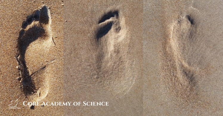 Beachfootprints